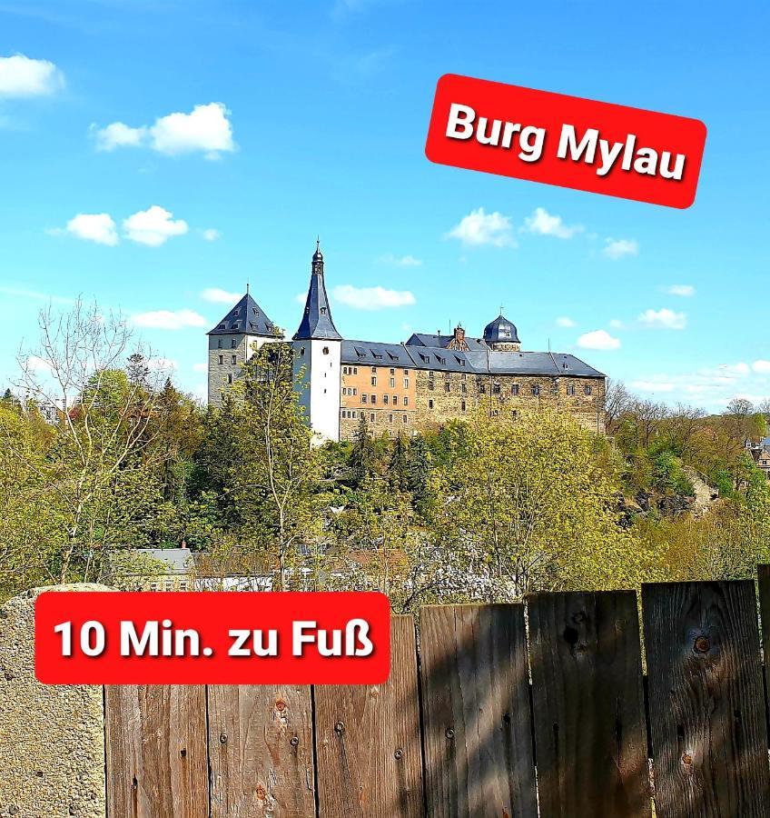 Ferienwohnung "Blick Mylau" - Naehe Freizeitpark Plohn & Weltgroesster Ziegelsteinbruecke Райхенбах-им-Фогтланд Экстерьер фото