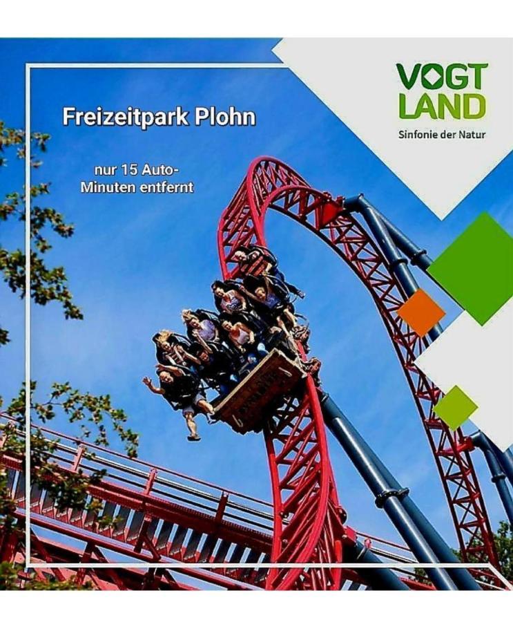 Ferienwohnung "Blick Mylau" - Naehe Freizeitpark Plohn & Weltgroesster Ziegelsteinbruecke Райхенбах-им-Фогтланд Экстерьер фото