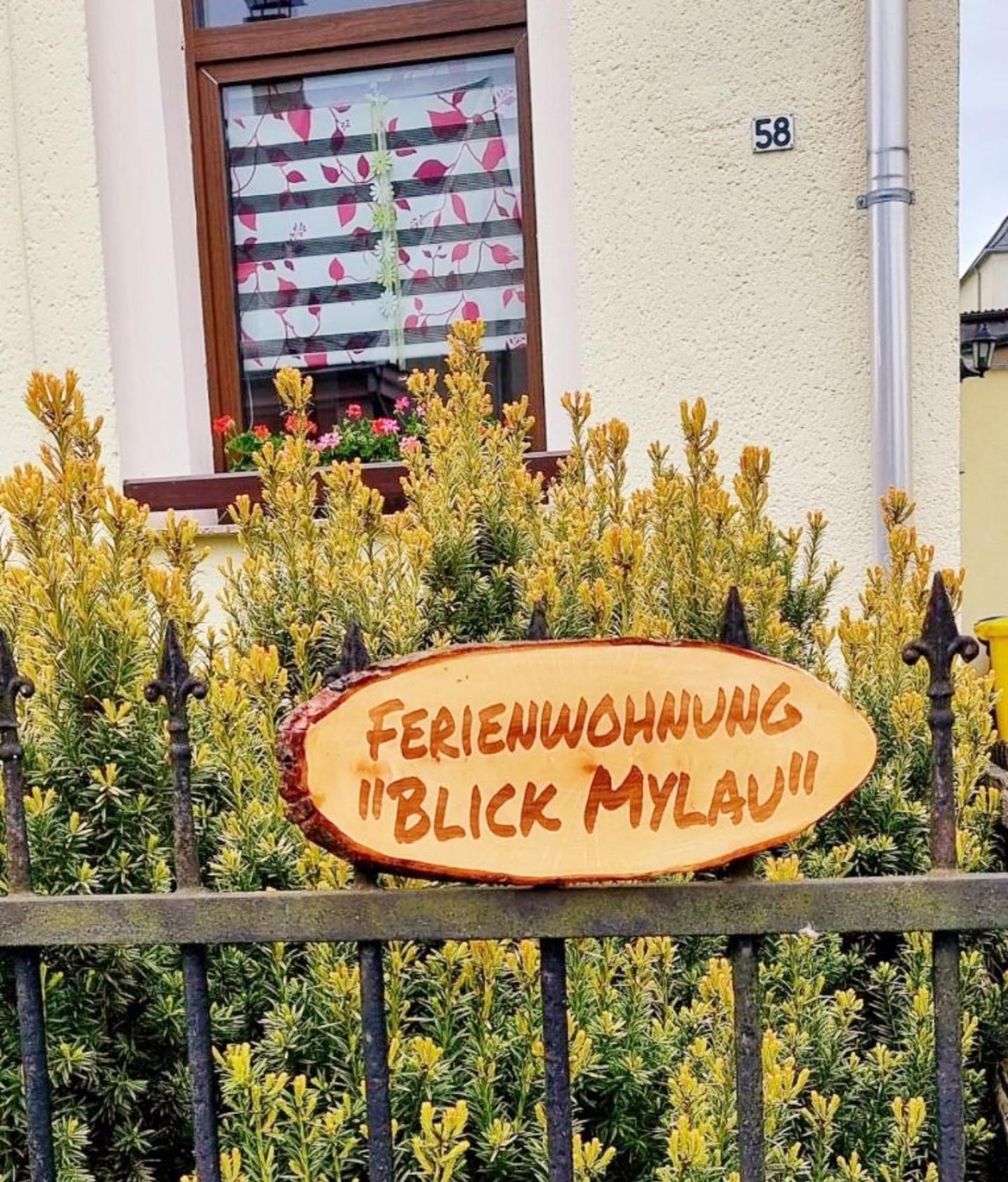 Ferienwohnung "Blick Mylau" - Naehe Freizeitpark Plohn & Weltgroesster Ziegelsteinbruecke Райхенбах-им-Фогтланд Экстерьер фото