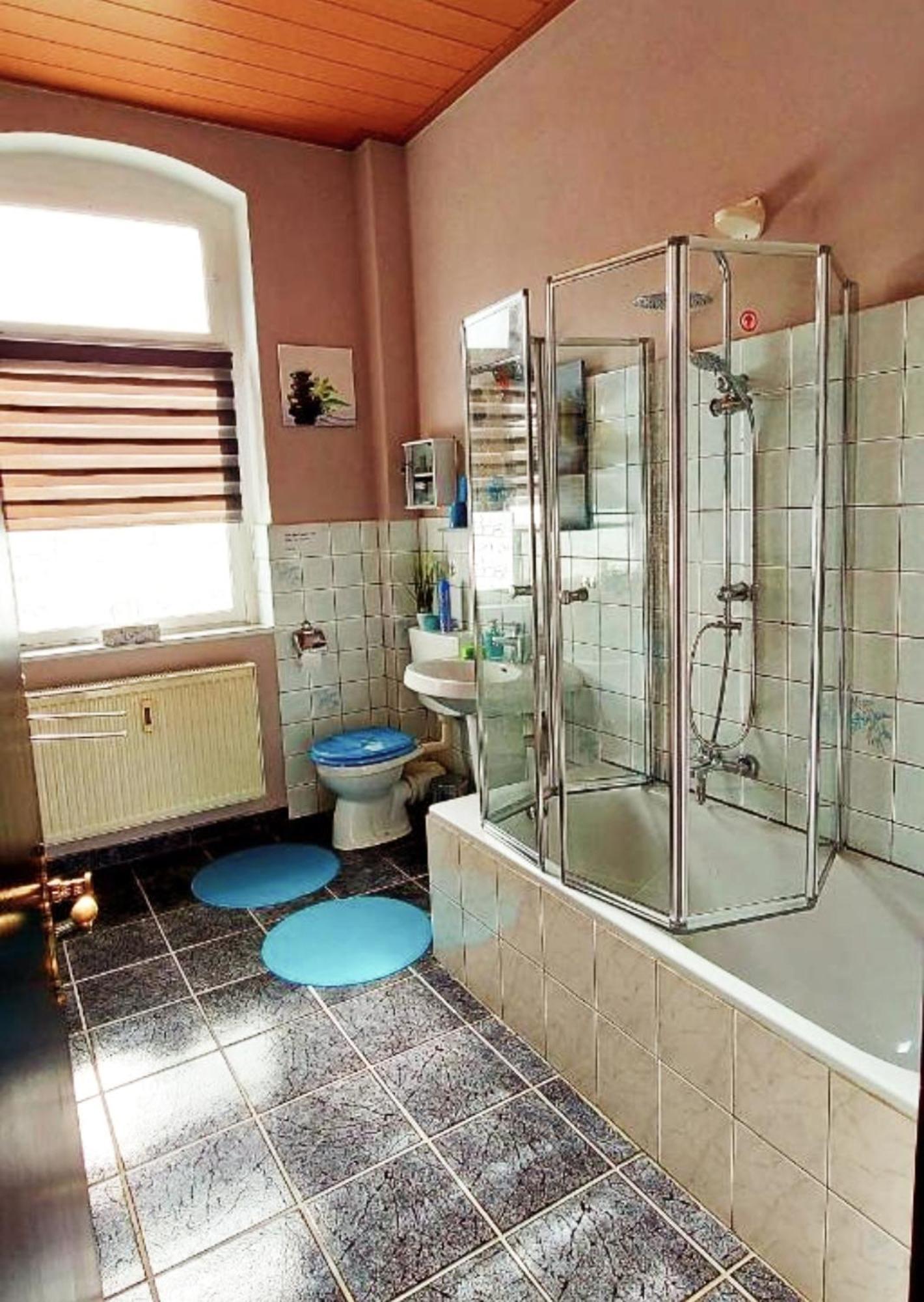 Ferienwohnung "Blick Mylau" - Naehe Freizeitpark Plohn & Weltgroesster Ziegelsteinbruecke Райхенбах-им-Фогтланд Экстерьер фото
