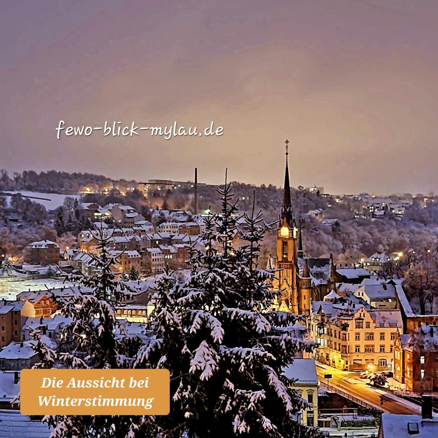 Ferienwohnung "Blick Mylau" - Naehe Freizeitpark Plohn & Weltgroesster Ziegelsteinbruecke Райхенбах-им-Фогтланд Экстерьер фото